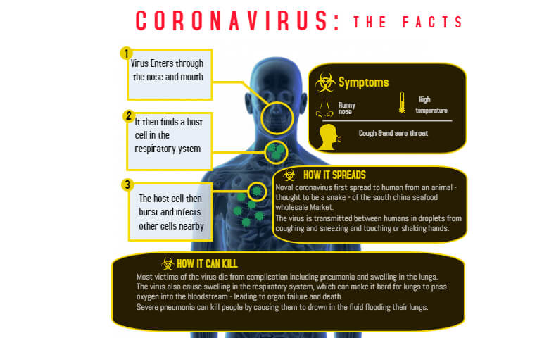 coronavirus facts - relish doze