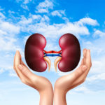How To Take Care Your Kidneys - Relish Doze