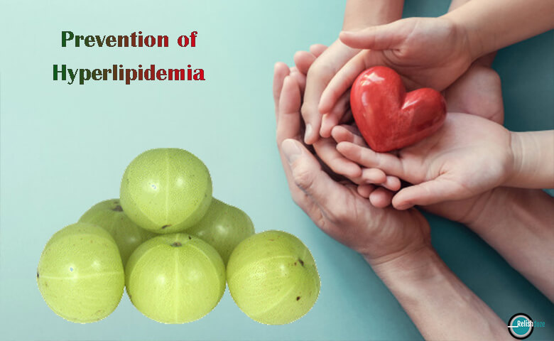 Prevention and treatment for Hyperlipidemia - Relish Doze