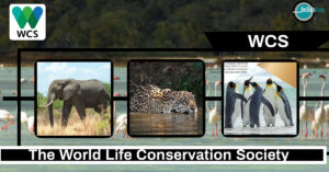 The World Life Conservation Society - Relish Doze