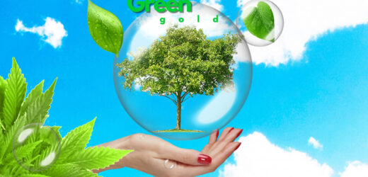 Green Gold is The Best Investment: Earns Environment That is Worth Living In