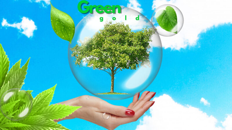 green gold is the best investment - Relish Doze