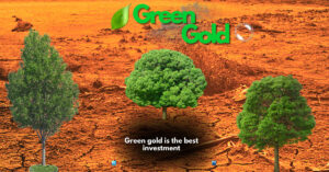 green gold - tree plantation - Relish Doze