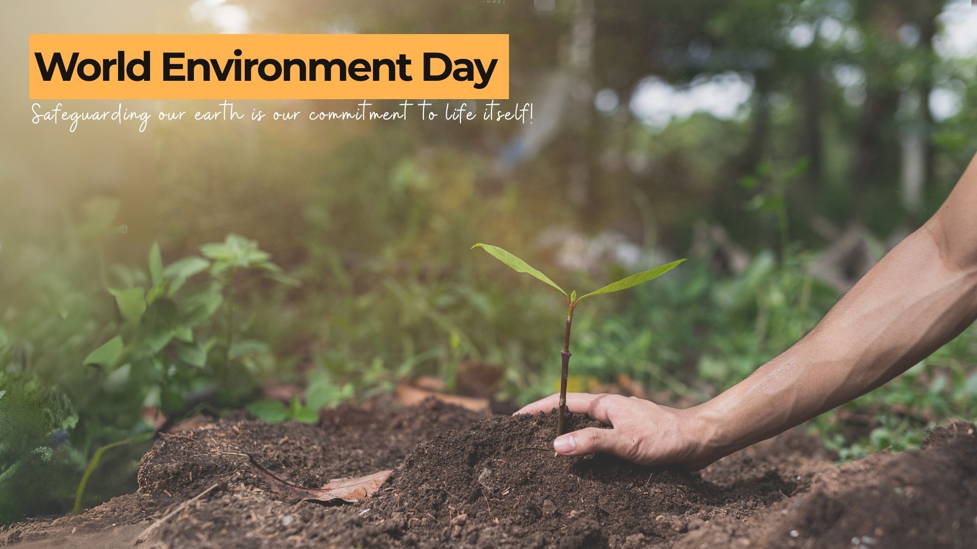 World Environment Day 2025 theme “Our Land. Our Future. We are Generation Restoration.” with tree plantation drives and climate action initiatives. Relish Doze